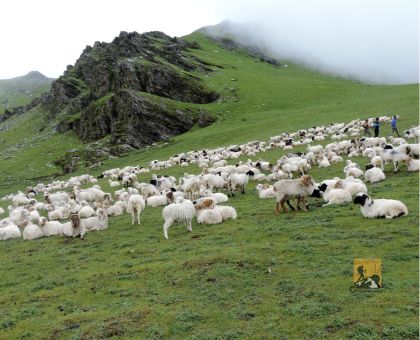Dhorpatan Trek